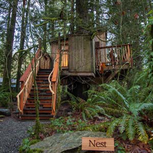 Nest Treehouse at TreeHouse Point