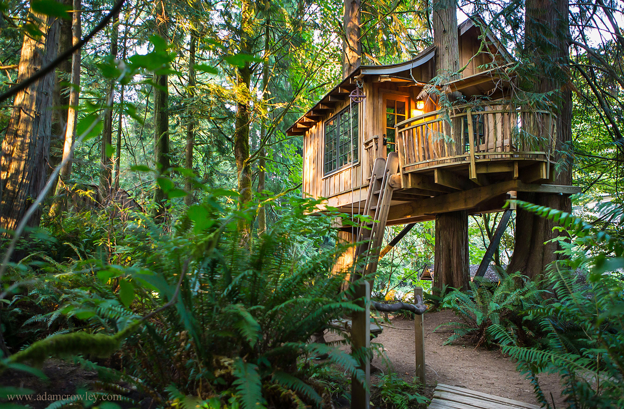  TreeHouse  Point